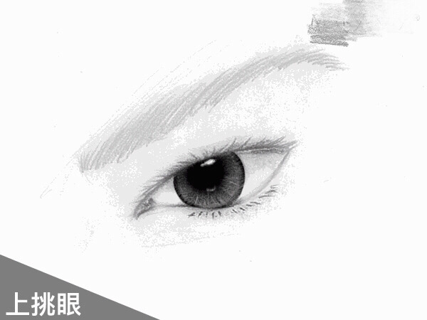 ��ͬ�������ߵĻ��� ʲô�����ʺ�ʲô����